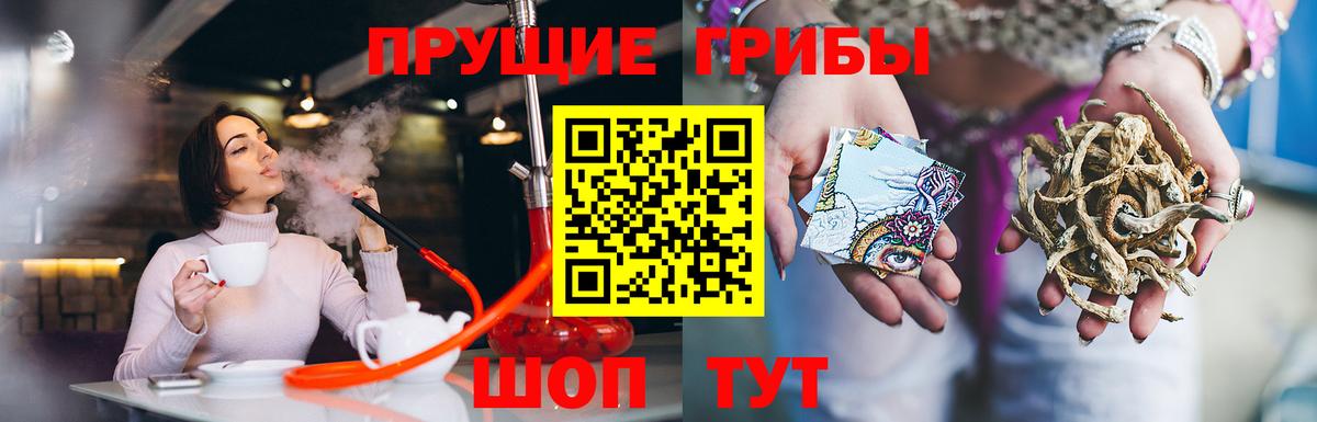 Галлюциногенные грибы прущие грибы Фролово